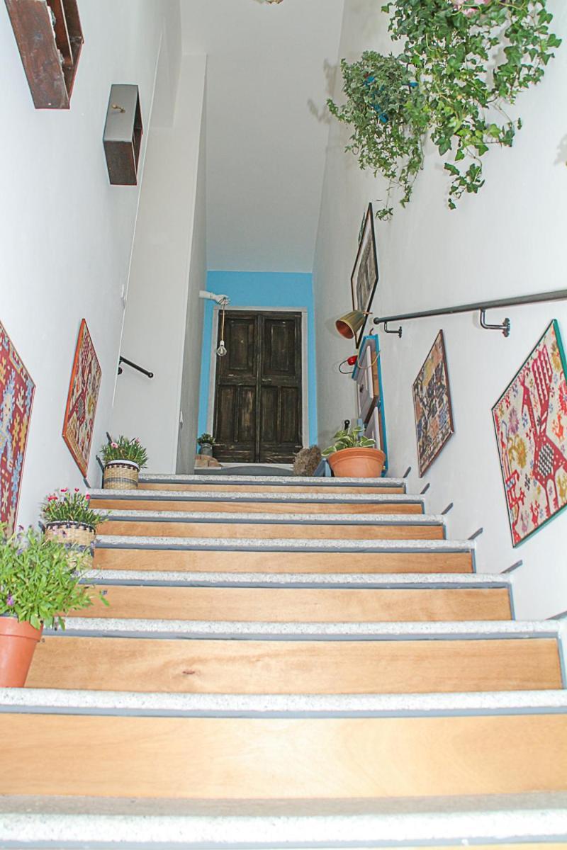 Domo Anna Guest house *